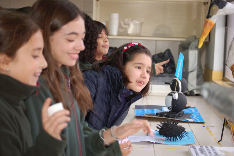 Feria De Experimentos Cient Ficos Colegio Akros